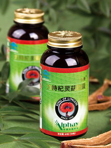 關于兩款全新食用菌沖飲粉產品上市的通知