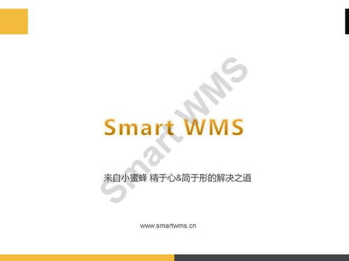 ppt分享 眼鏡行業 智慧倉儲管理解決方案